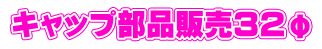 Lbvi̔RQ