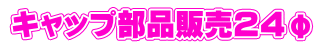 Lbvi̔QS