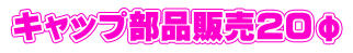 Lbvi̔QO